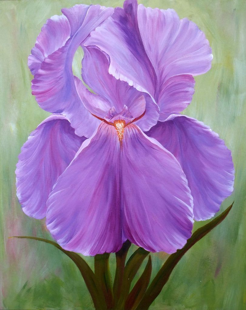 Painting of a single purple iris in bloom against a soft green background