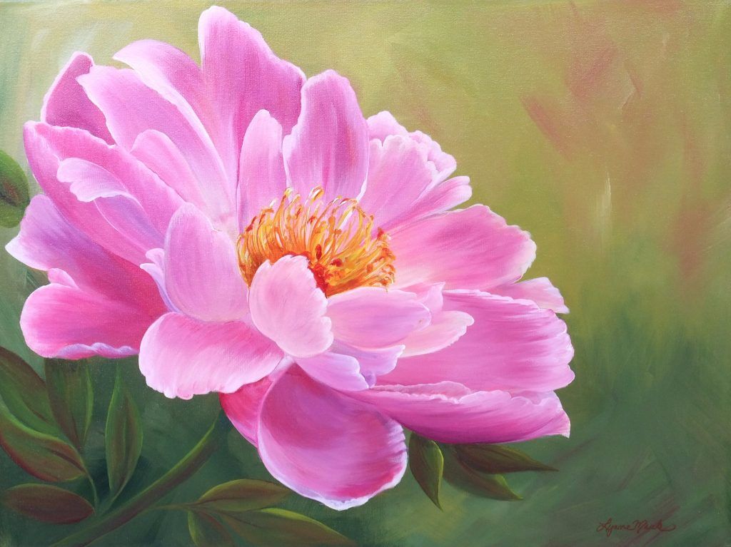 Painting of a pink peony in full bloom against a soft green background