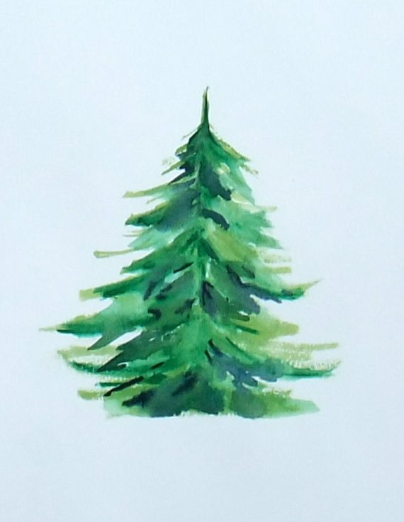 Loose watercolour painting of a single green evergreen tree