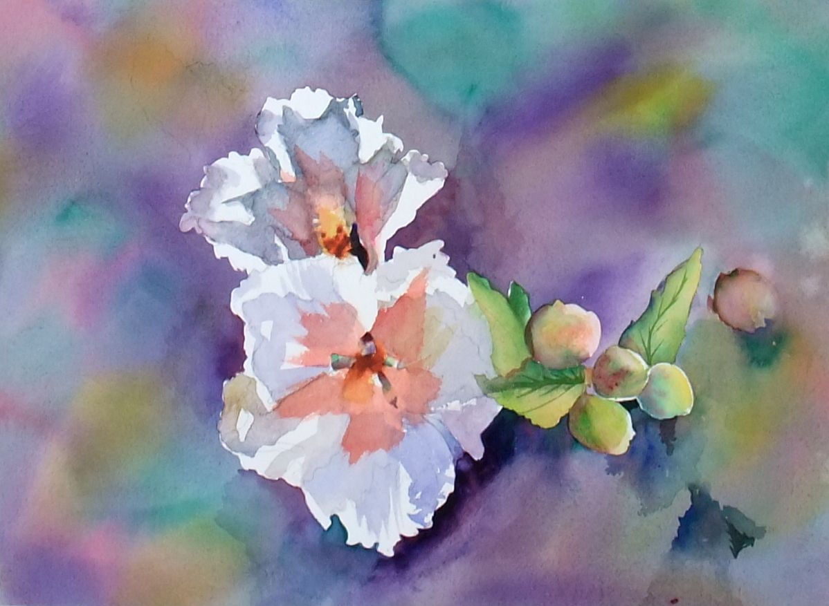 Watercolour of white blossoms with green buds against a mottled pastel background