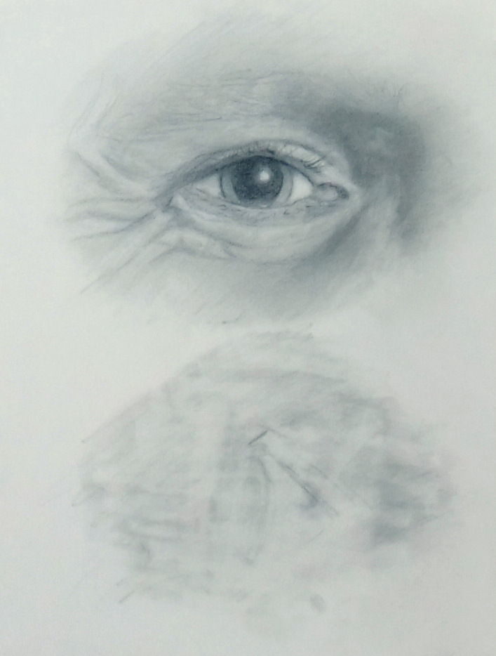 Contour Study